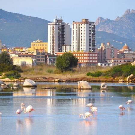 La Casa Dei Fenicotteri Bed & Breakfast Olbia Ngoại thất bức ảnh
