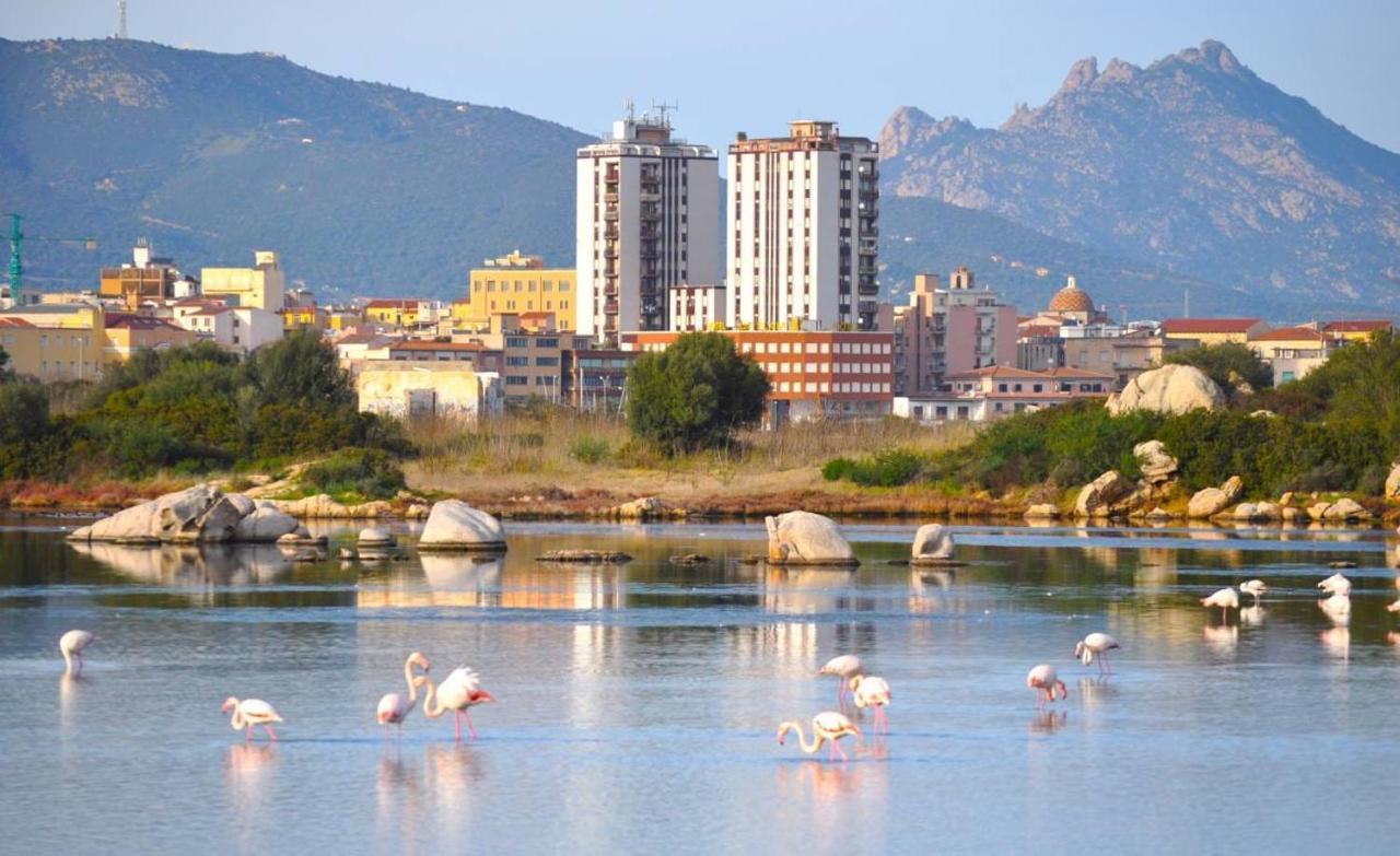 La Casa Dei Fenicotteri Bed & Breakfast Olbia Ngoại thất bức ảnh